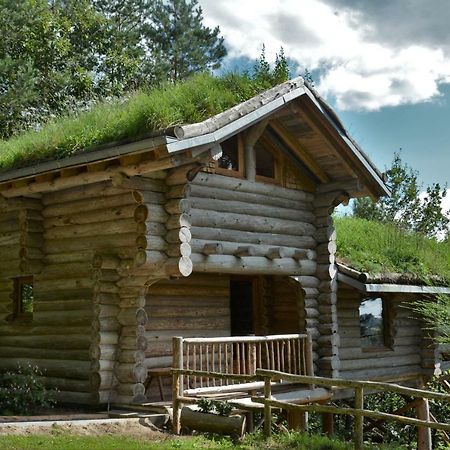 La Cabane De Hans Saint-Martial-de-Gimel Екстер'єр фото