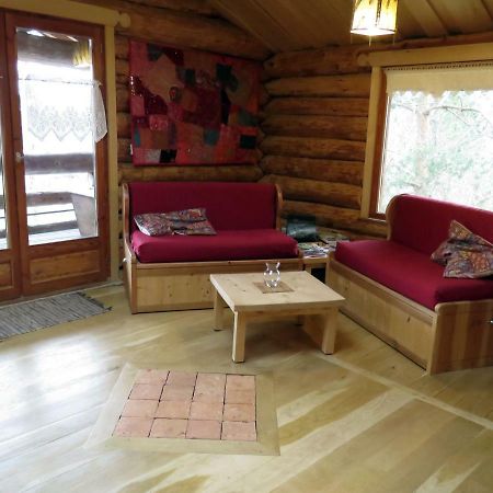 La Cabane De Hans Saint-Martial-de-Gimel Екстер'єр фото