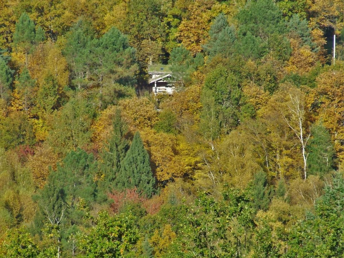 La Cabane De Hans Saint-Martial-de-Gimel Екстер'єр фото